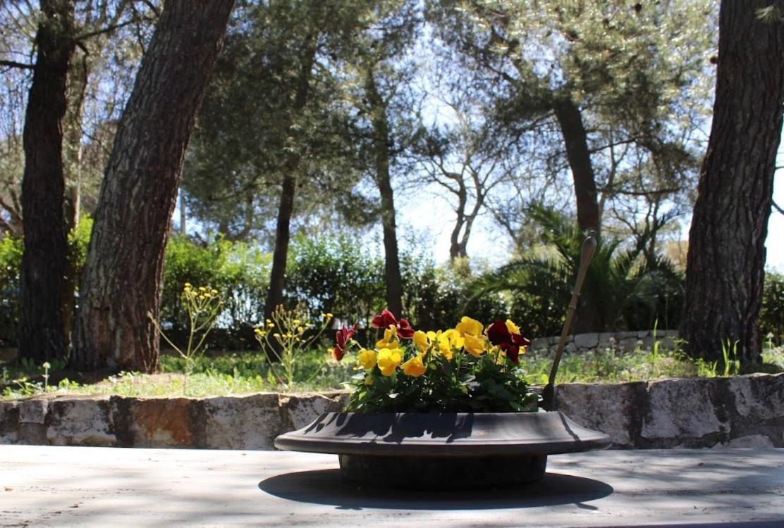 Trulli Pinnacoli Locorotondo Exteriör bild